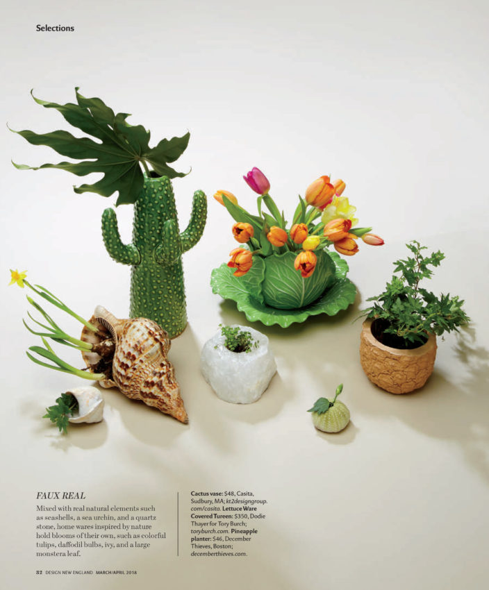 Design New England - March/April 2018